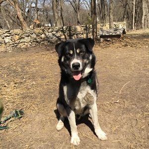 Meet your Posher, Jocelyn